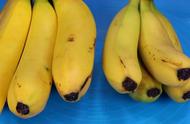 教你挑选香蕉的小技巧（怎么选香蕉最简单的方法）