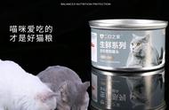 猫罐头打开了放冰箱可以保存多久（猫罐头打开了放冰箱能放多久）