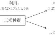 能量流动的图解分析（能量指标分析方法）