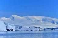 南极巨虫真实图片（南极最吓人的虫）