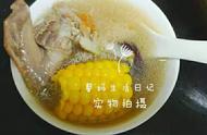玉米粒鸽子汤的做法大全家常（鸽子玉米山药汤怎么炖最营养）