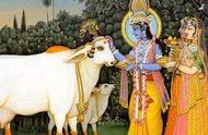 印度为什么对牛很尊重（印度对牛的崇拜程度）