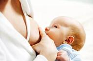 母乳喂养每日计划表（母乳喂养知识及技巧的学习内容）