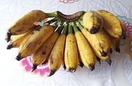 香蕉果皮米糊的配方（香蕉米糊的功效与作用）