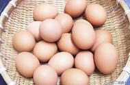 人工鸡蛋和正常鸡蛋的区分（人工造鸡蛋与真鸡蛋有什么区别）
