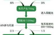 尿酸偏高的人可以吃瓜子吗（尿酸偏高的人可以吃瓜子吗百度百科）