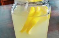 小苏打柠檬酸自制汽水比例（自制汽水柠檬酸与小苏打的比例）