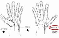 手心三条线图解（手心二条线和三条线有区别吗）