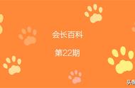 猫生理期是什么时候（猫生理期一般隔多久来一次）