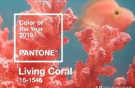 珊瑚红最搭的颜色（珊瑚红是个什么色调）