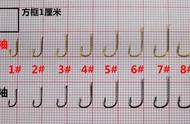 袖钩1-8号适合钓多大的鱼（8号袖钩适合钓什么鱼）