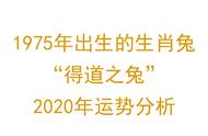 水命人遇到流年庚子鼠年好吗（2024年属鼠的水逆）