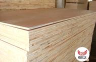 建筑木模板属于几类胶合板（目前木模板均采用胶合板作为面板）