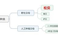 川贝母为什么那么贵（川贝母多少钱一克）