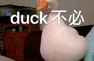 duck不必是贬义词吗（duck不必的真实含义）