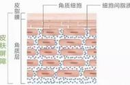 脸出油却又起皮（脸爱出油但是还起皮是怎么回事）