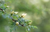 花花世界是什么歌（歌词花花世界是哪首歌里的）