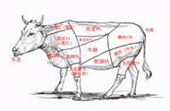 涮火锅的牛肉怎么煮才嫩（火锅里的牛肉怎么煮更嫩）