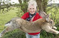世界上最大的兔子是什么品种（世界上最漂亮的兔子有什么品种）