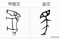 马字旁汉字（马字旁有什么字大全）