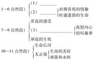 藤萝瀑布重点赏析