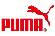 puma 品牌含义（puma有几种logo）