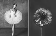 芭蕾舞唯美意境图片黑白（芭蕾图片唯美）
