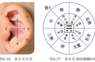 小儿推拿手部八卦图（手心按摩示意图）