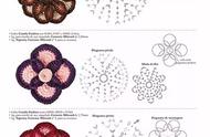 100种花边的钩法图解（十八款万能花边的钩法）