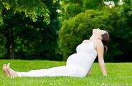 孕妇瑜伽每日必练100个动作（孕期瑜伽10个经典动作加图片）