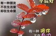 冬天的经典祝福语（关于冬天来了的祝福语）