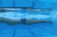 蛙泳自由泳的划臂动作技术与特点（蛙泳自由泳打腿方法与技巧）