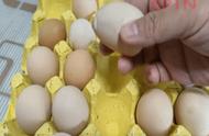 鸡蛋壳可以长时间吃吗（鸡蛋壳可以长时间吃吗有毒吗）