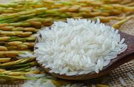 东南亚重要的稻米出口是什么（东南亚两个重要的稻米出口国）