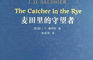 麦田里的守望者读书笔记300字（麦田里的守望者读后感300字左右）