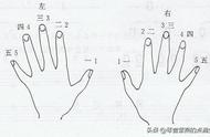 电子琴左手指法图（电子琴手指位置图）