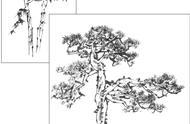 怎么画山水画中的树（山水画中的树的画法）