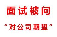 对公司的期望及个人发展期望（个人对公司的期望简短）