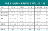 喂鸡方法大全图解（喂鸡的正确方法和用法）