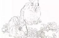 兔子怎么画才漂亮简单（兔子怎么画才漂亮）