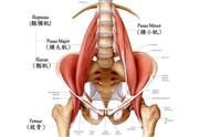 按摩髂腰肌的多种方法（髂腰肌起止点按摩方法）