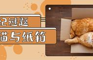 猫抓盆妙用（猫抓盆买哪种形状）