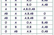 父母亲都是o型血孩子是什么血型（双方父母o型血孩子是什么血型）
