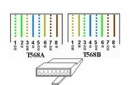 双绞线接法图解（绞线正确接法图解）
