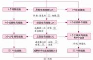 高中生物必修二每章思维导图（高中生物必修二第四五章思维导图）