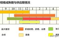 最新柑橘品种推荐（柑橘最新品种一览表）