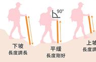 如何挑选登山杖（新手怎样选购登山杖）