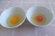 土鸡蛋和饲料鸡蛋的营养有区别吗（土鸡蛋和饲料鸡蛋的区别）
