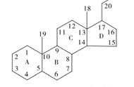 环戊烷多氢菲的结构式图（环己烷的碳环结构图片）