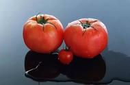 西红柿营养成分对男士有好处（男性常吃西红柿对身体有哪些好处）